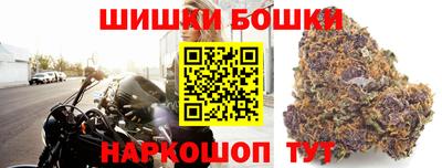 крисы Аргун