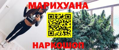 крисы Аргун