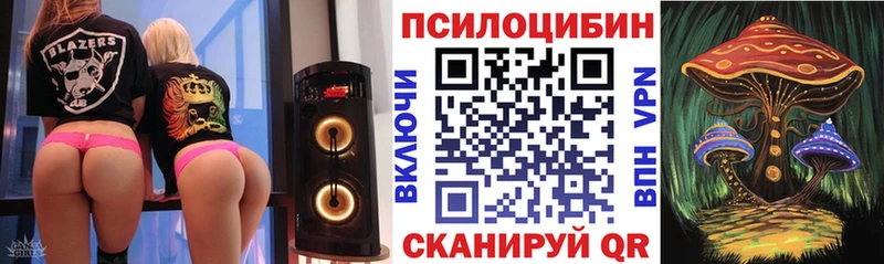 Псилоцибиновые грибы Magic Shrooms  Купить закладки  Сунжа 