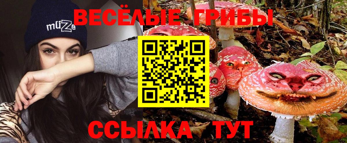 Галлюциногенные грибы мухоморы Сунжа