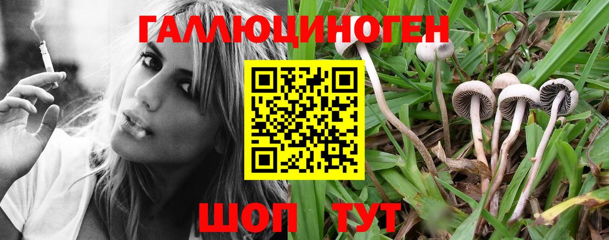 Псилоцибиновые грибы мухоморы Сунжа